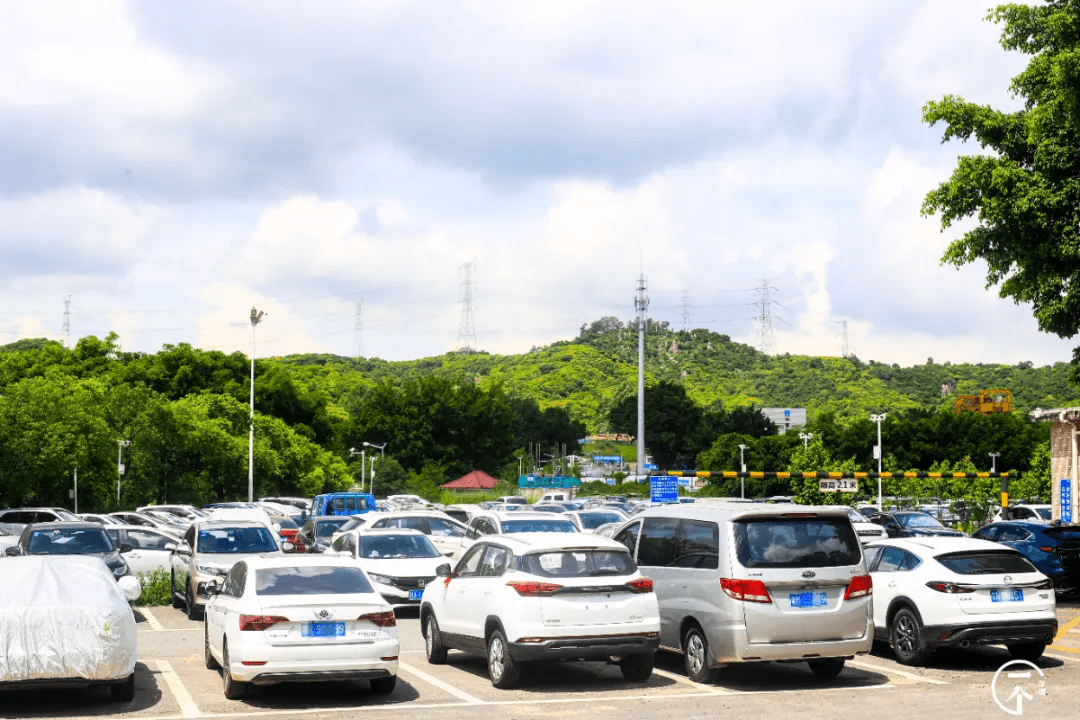 深圳出乎意料取胜,新晋劲旅值得关注的简单介绍 深圳出乎意料取胜,新晋劲旅值得关注的简单介绍
