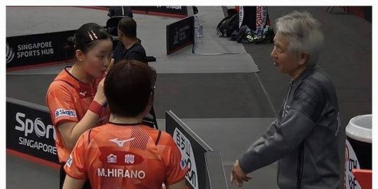 中国羽毛球队翻盘印度羽毛球队，马琳绝境逆转的简单介绍