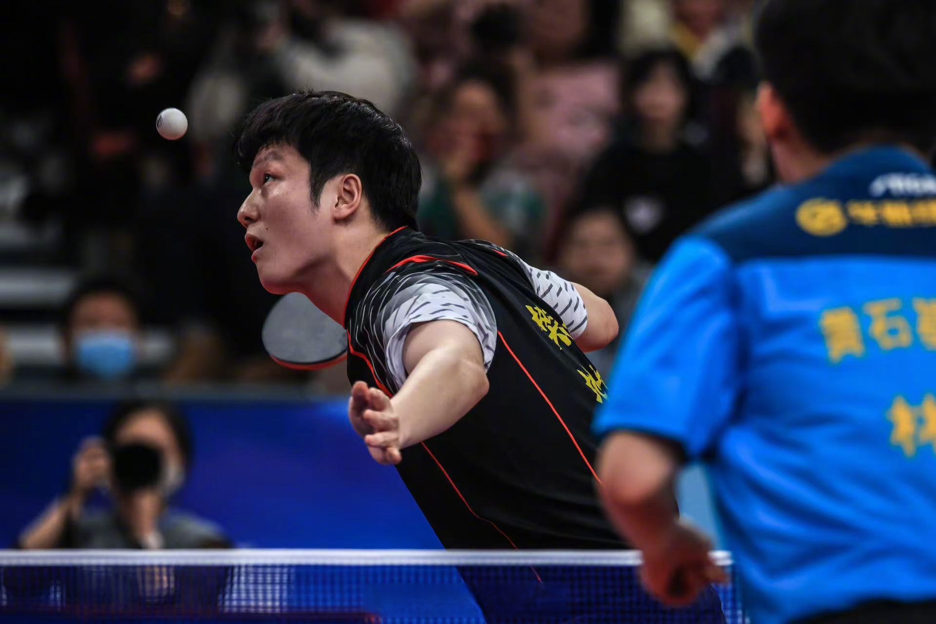 中国乒乓球队翻盘德国乒乓球队，樊振东高光表现的简单介绍